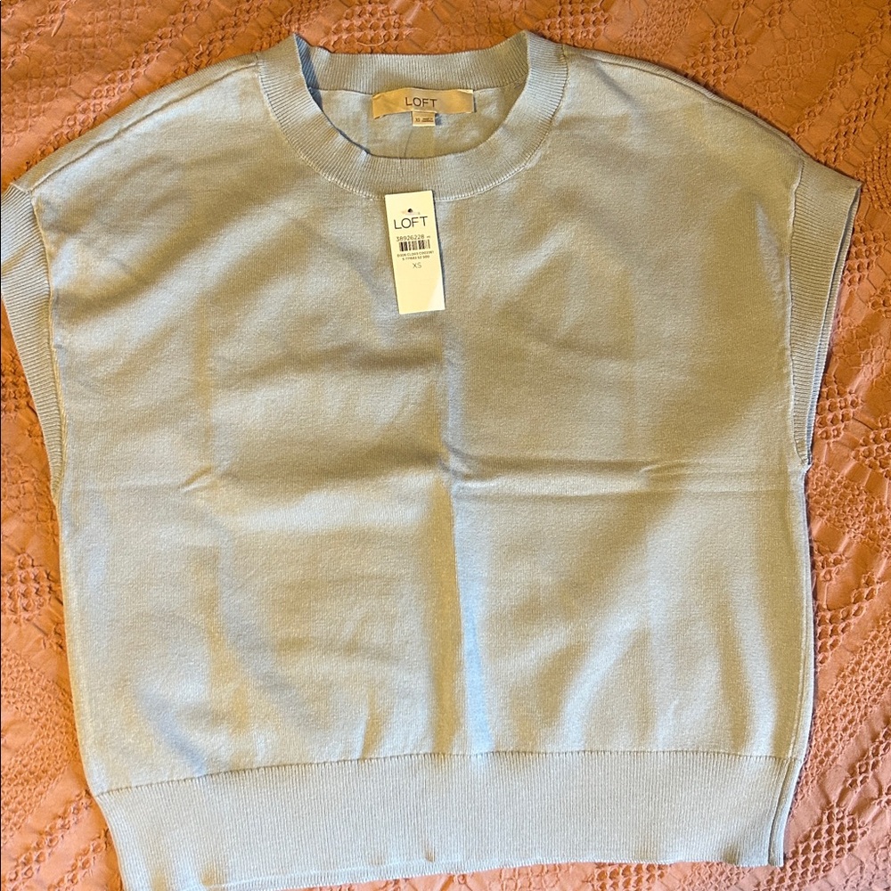LOFT Soft Blue Knit Top